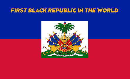 Haitian Soccer Player Mini Banner Flag 1
